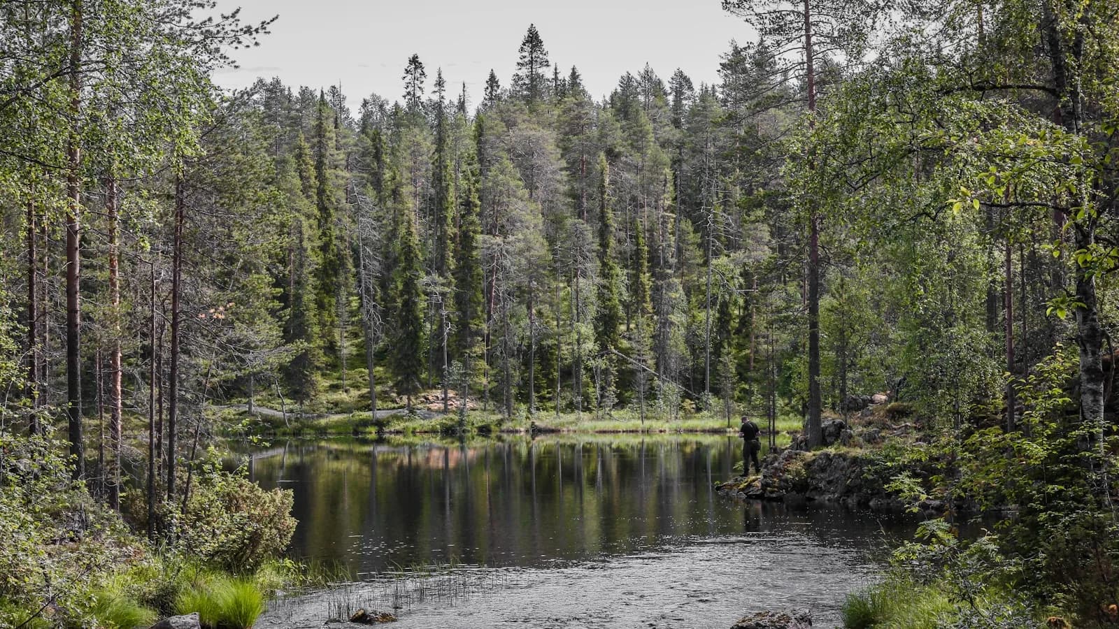 Vihreä joki halkoo Hossan kansallispuiston metsiä kesäisenä päivänä