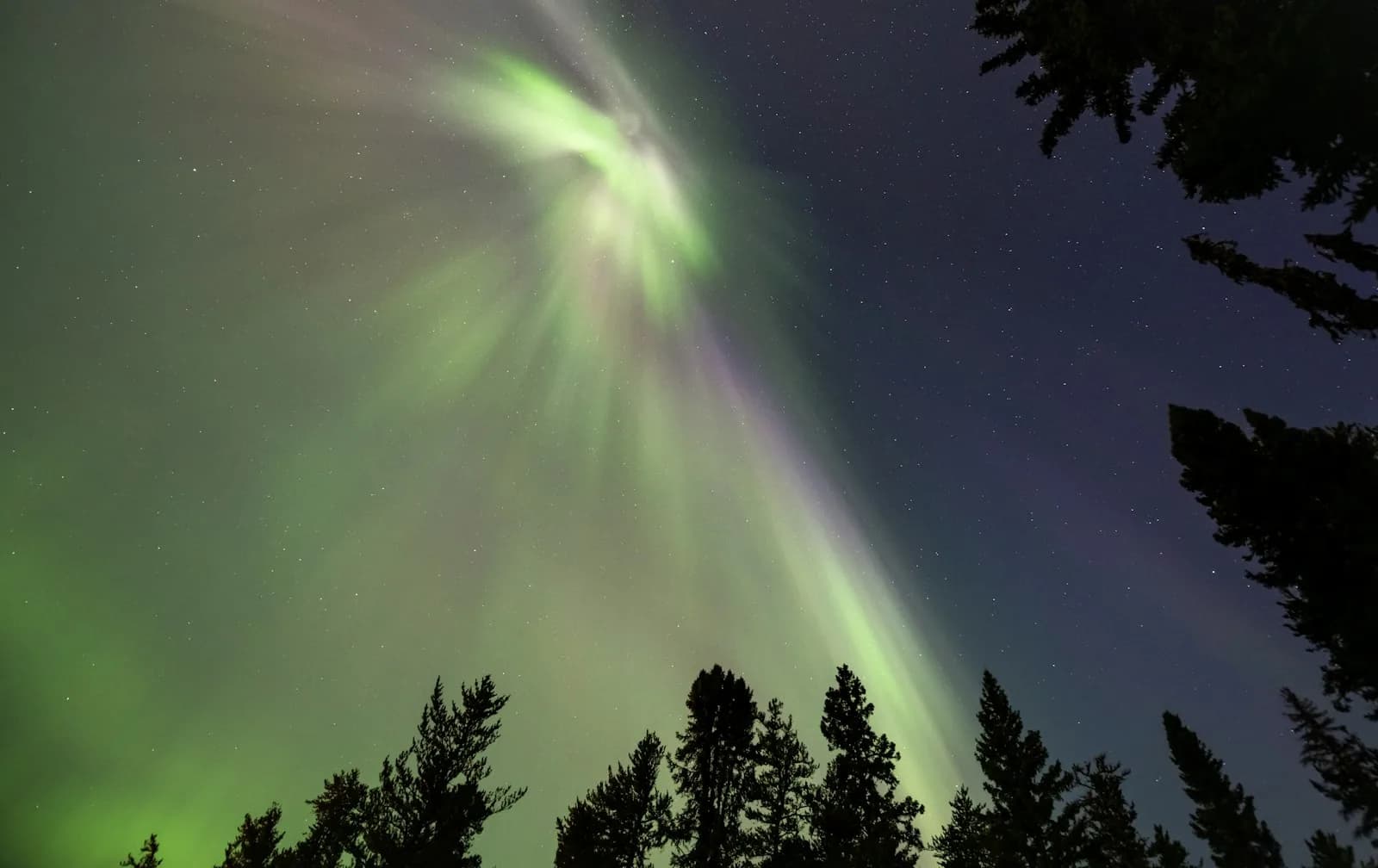 Vihreät ja violetit revontulet leiskuvat tähtitaivaalla pohjoisessa erämaassa